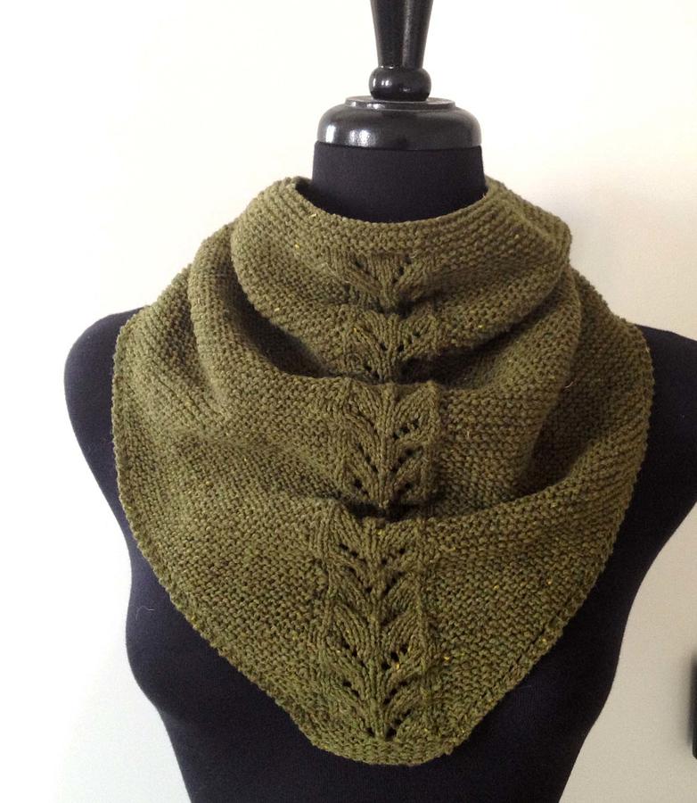 Shrubbery Shawlette