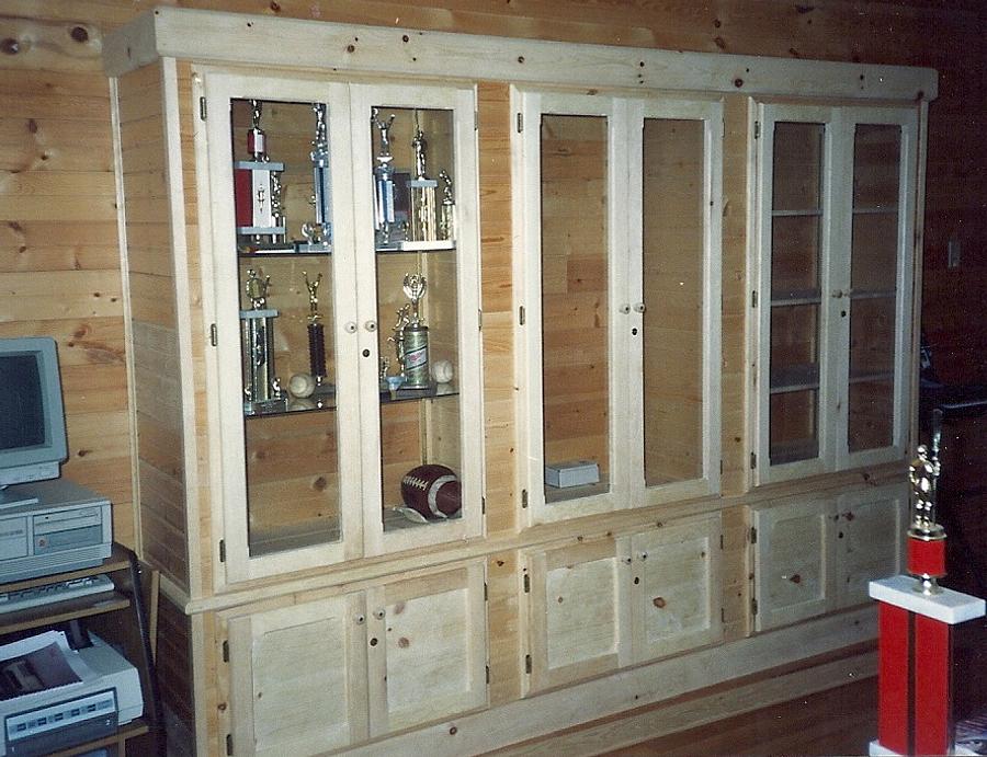 Casework: Lighted Gun and Trophy Cabinet