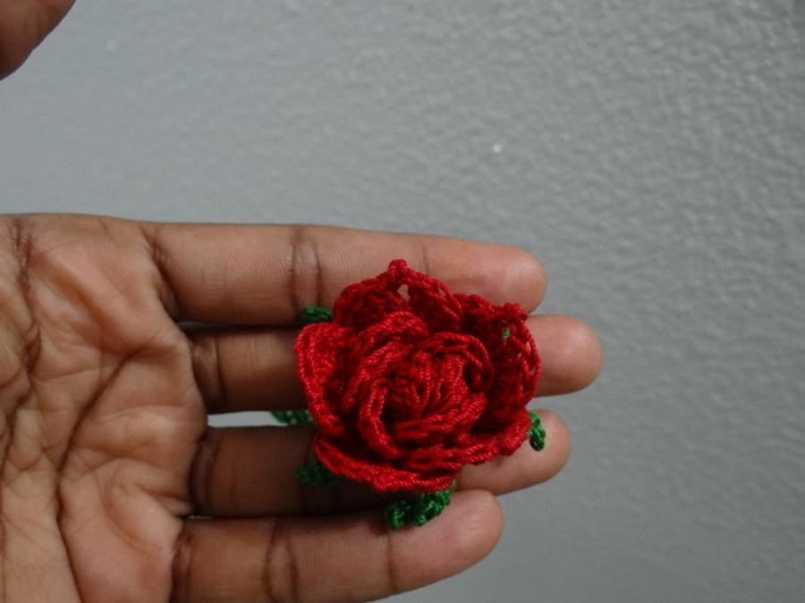 Miniature Rose