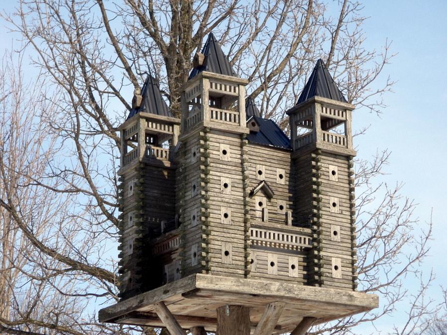 Extreme Birdhouses 