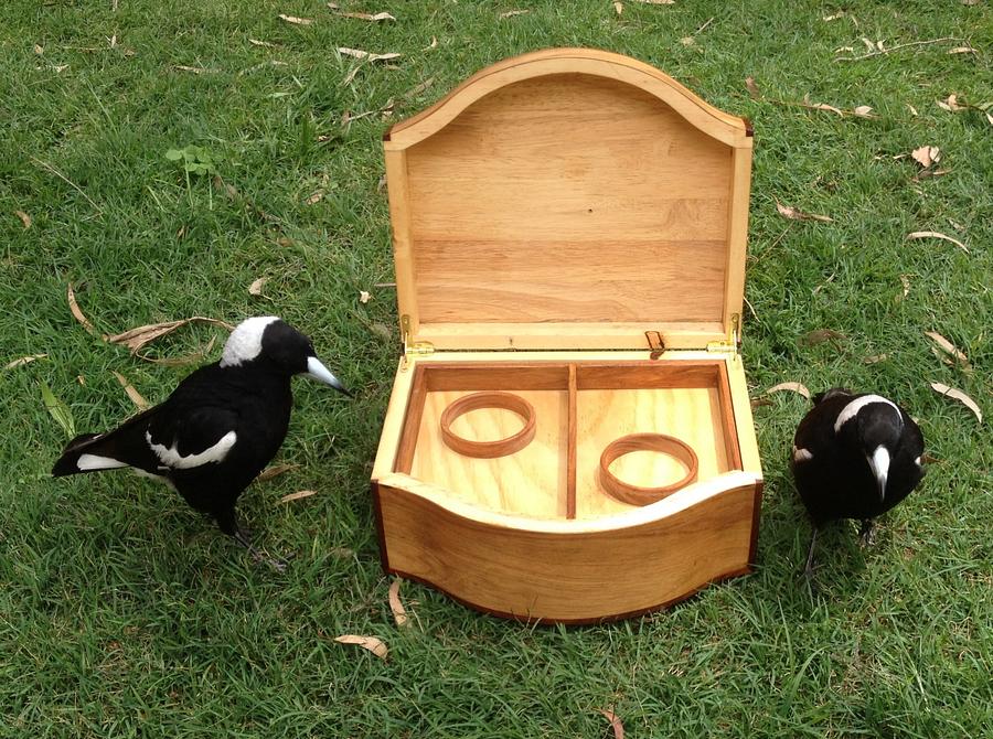 Curved Front Box, and Magpies!