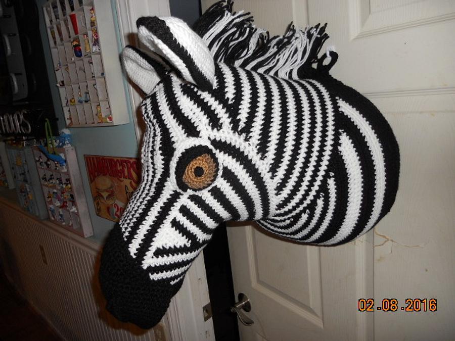 Zebra head