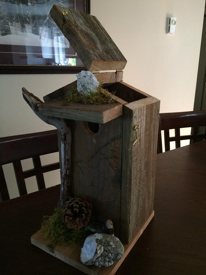 2 more bird houses BC style