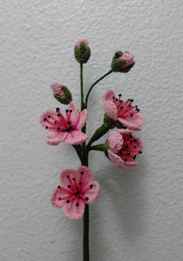 Pink Blackberry Blossoms