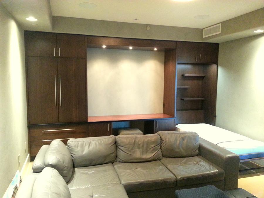 Murphy Bed Unit