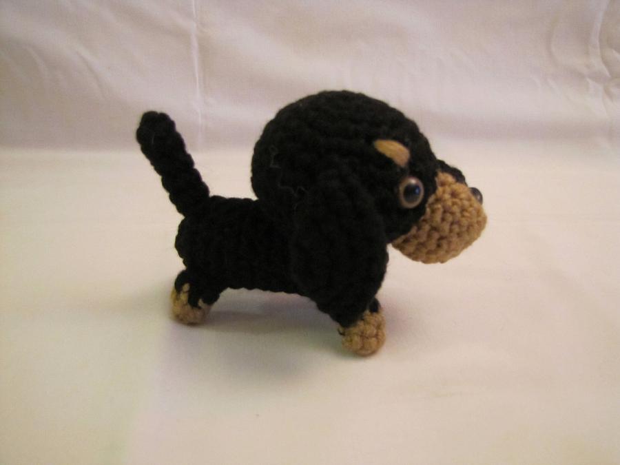 DACHSHUND BLACK & BROWN