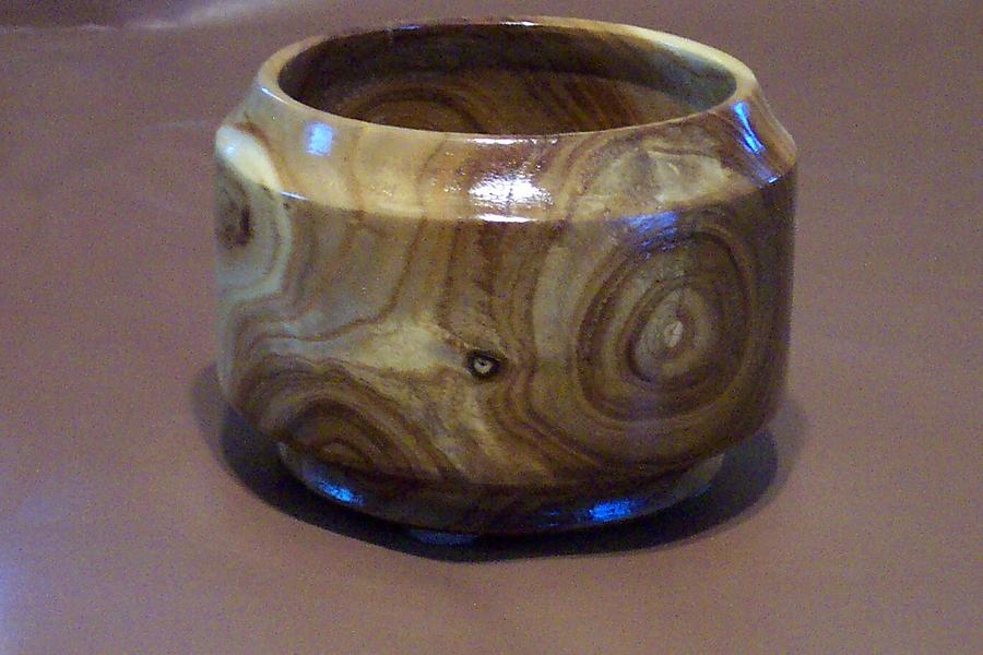 Solid Catapla Bowl