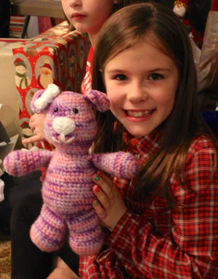 Pink and Purple Teddy Bear