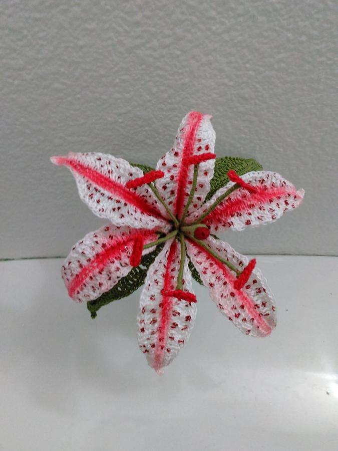 Candy Cane Oriental Lily Flower Pattern