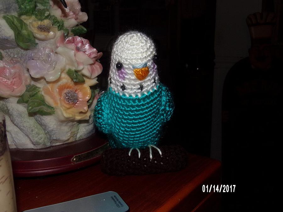 Budgie