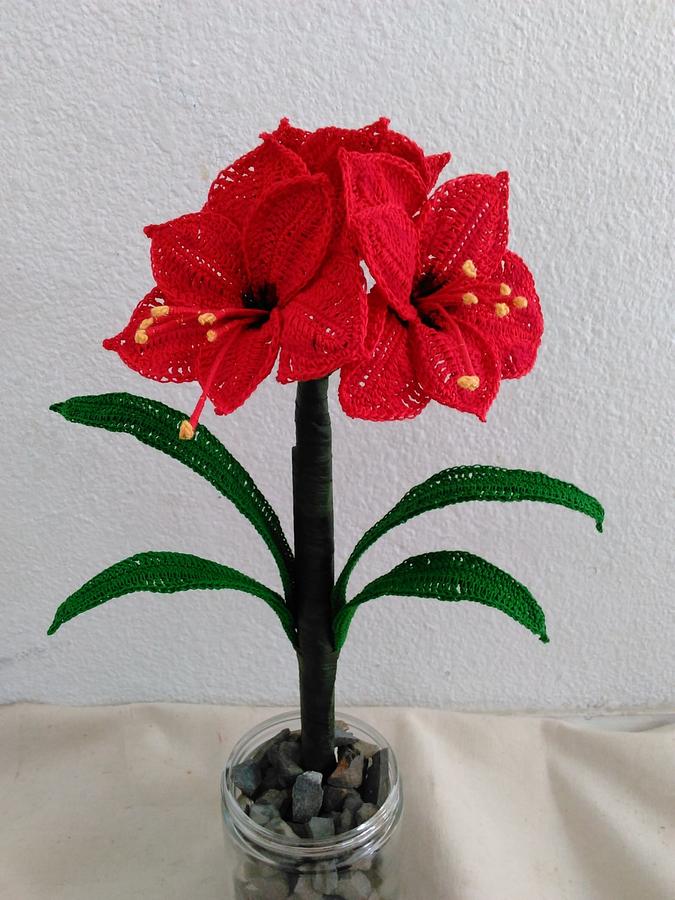 Amaryllis Flower Pattern