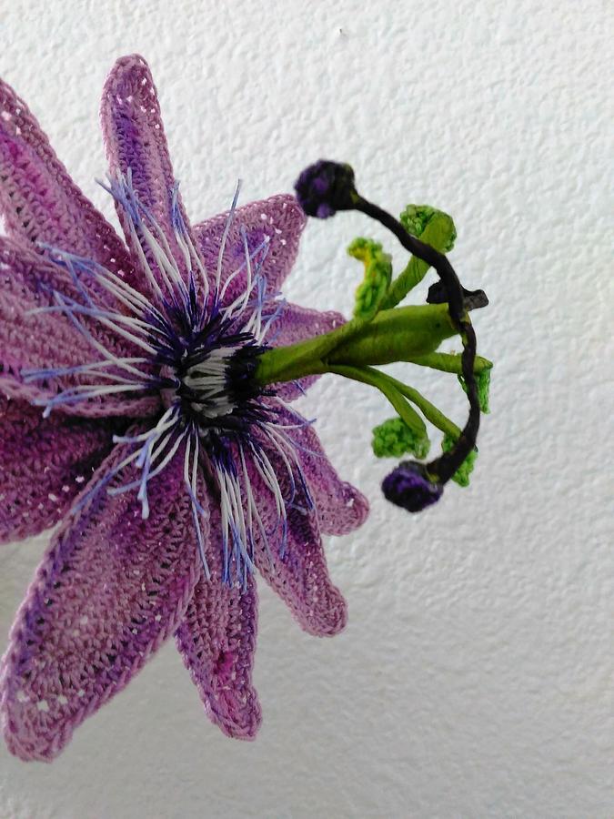 Passion Vine (Passion Fruit Flower)