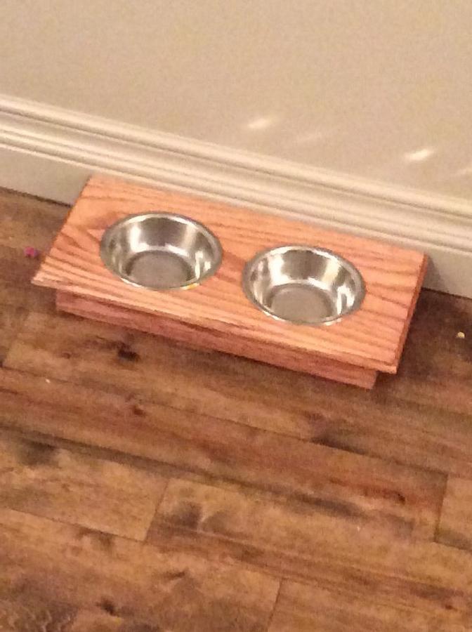 Small dog bowl