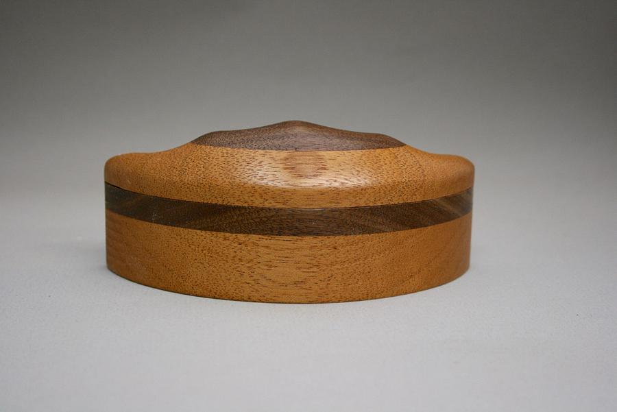 Diatom #1 Wooden Box