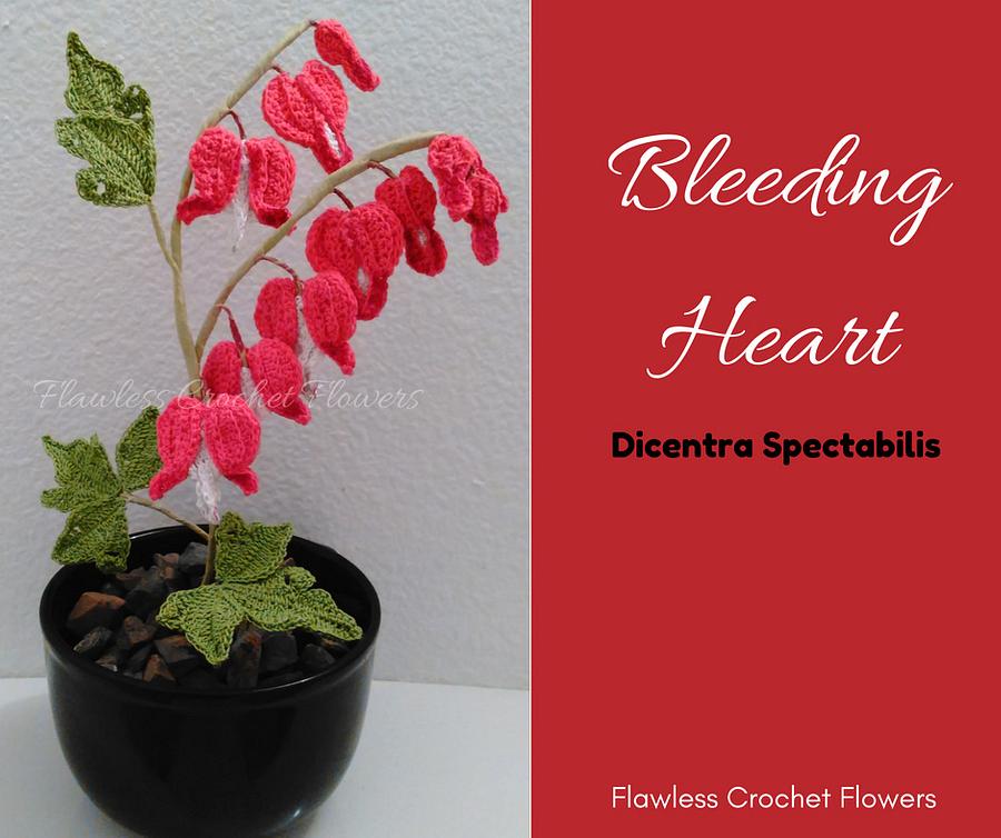 Bleeding Heart (Dicentra Spectabilis)