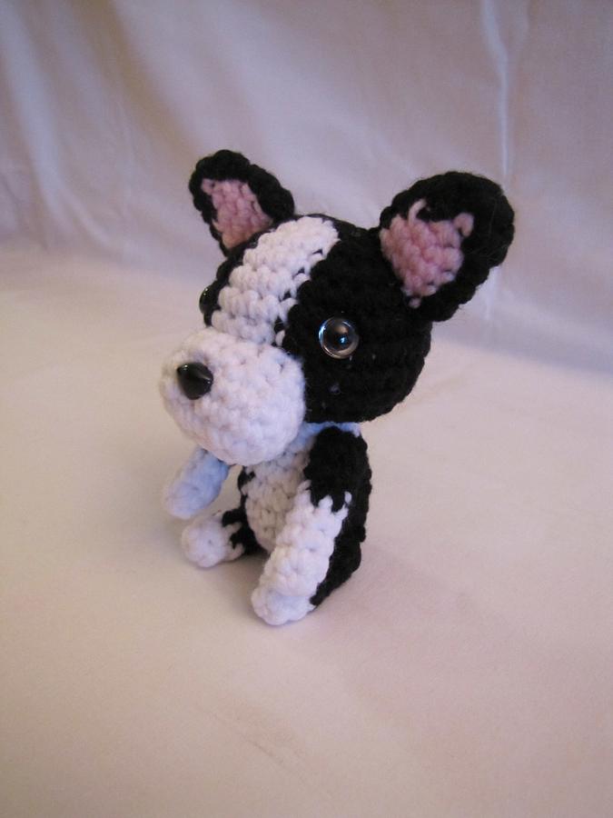 BOSTON TERRIER