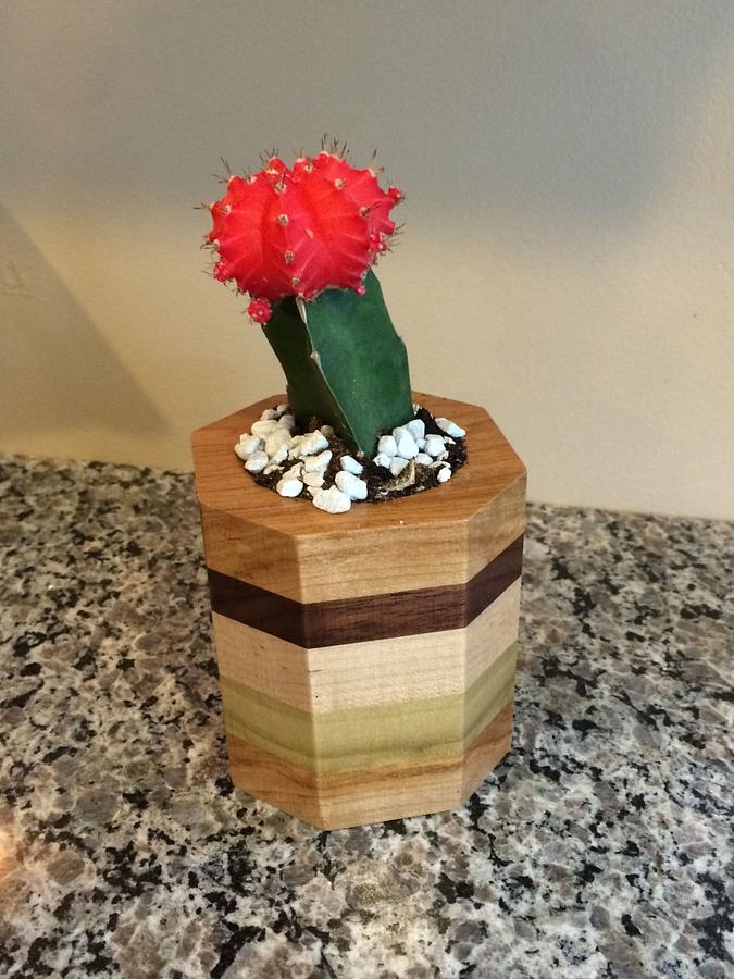 Wooden Flower Pots 
