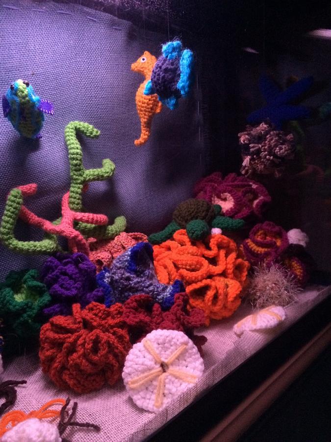 My crocheted aquarium