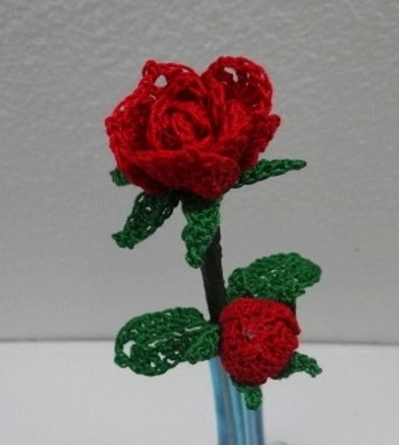 Miniature Rose