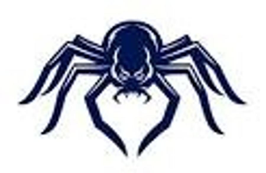 University of Richmond Spider