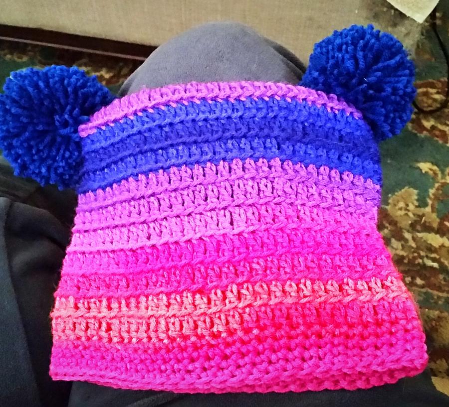 Double Pom Pom Hat