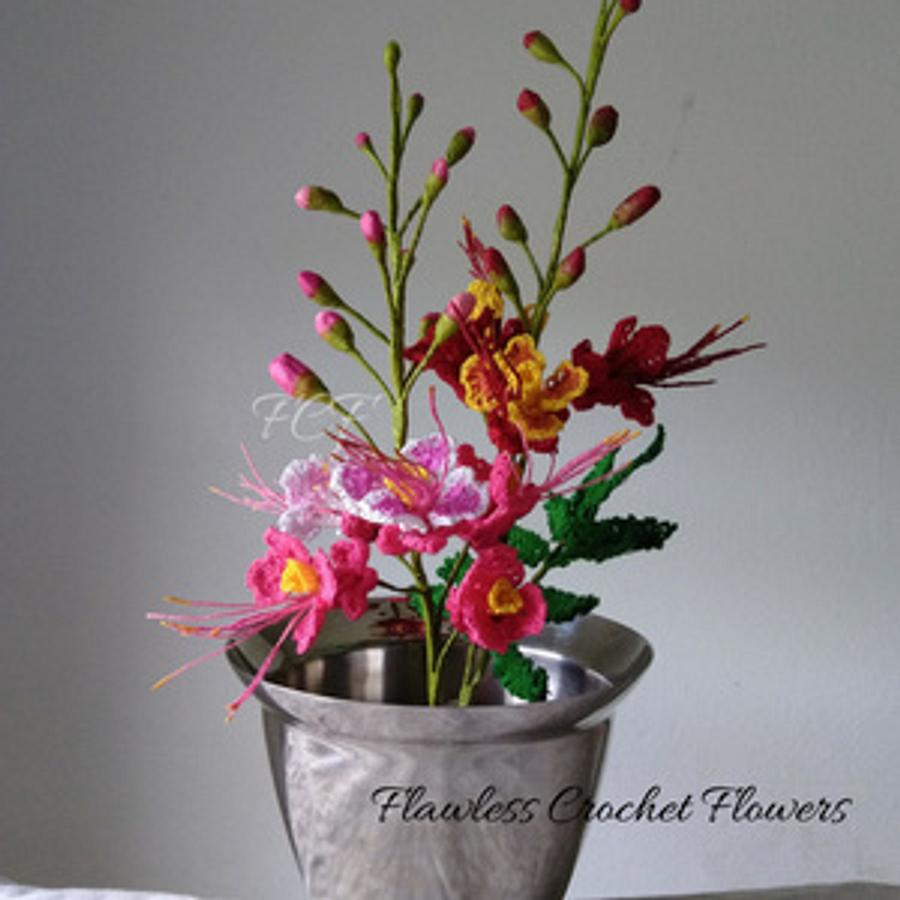 Pride Of Barbados Peacock Flower (Dwarf Poinciana)