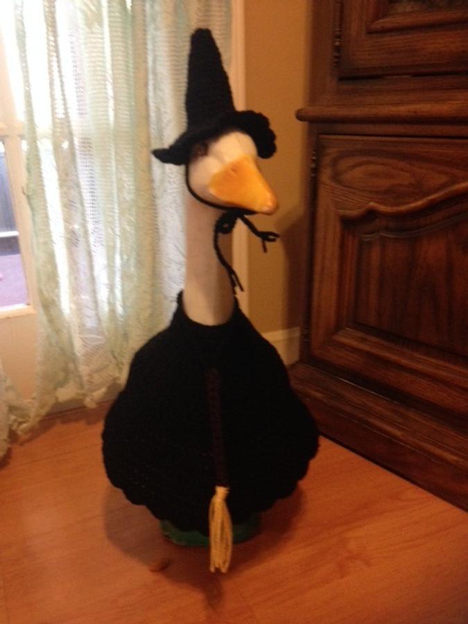 Halloween Witch Goose Outfit