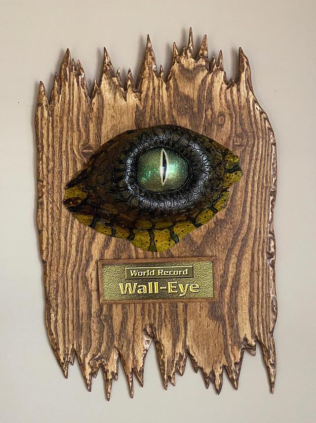 Keeping an eye on things - Woodworking Project by awsum55 - Craftisian