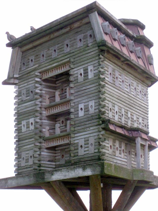 Extreme Birdhouses - Woodworking Project by John L - Craftisian