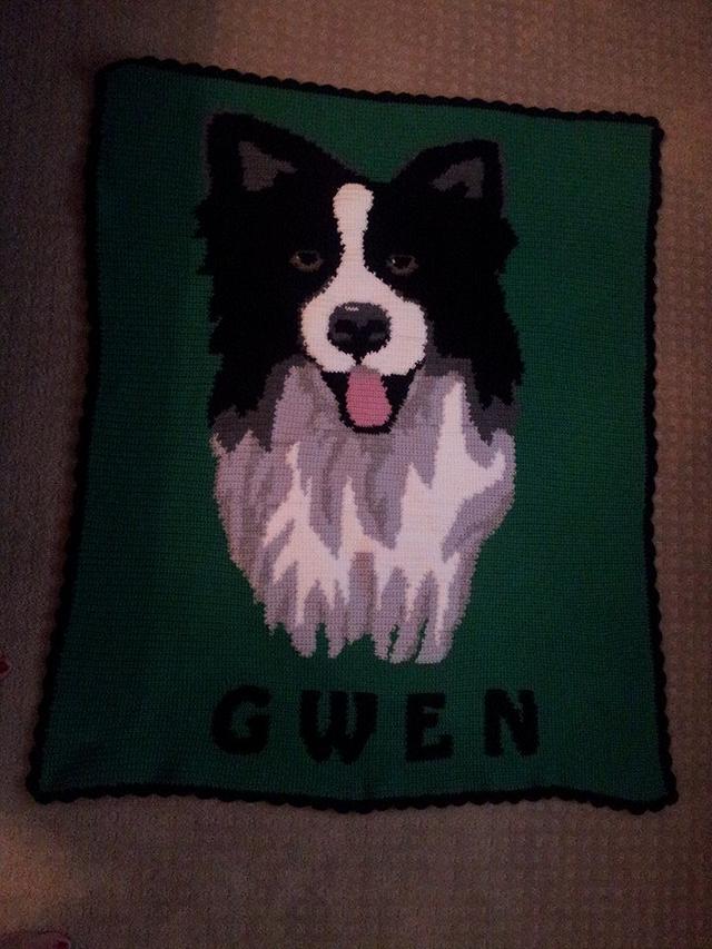Border Collie Blanket Needleworking Project by lizzy219 Craftisian