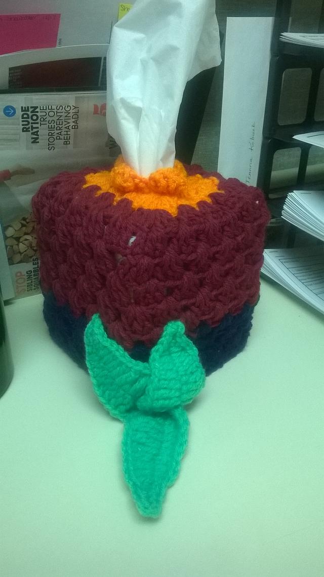 Flower Tissue Box Cover Needleworking Project by Tina Craftisian