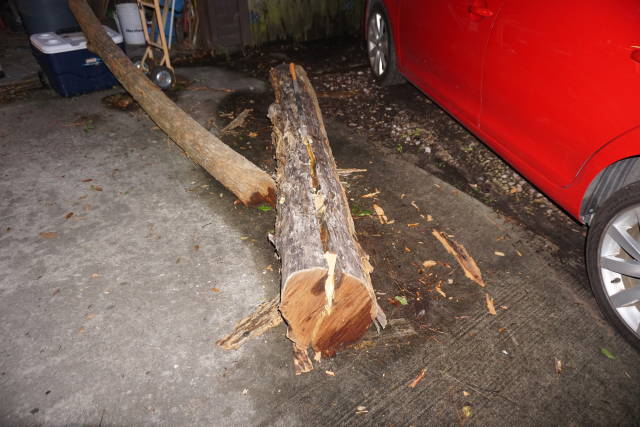 Bois D'arc #1: Bois D'arc (Osage Orange) - Woodworking Update by Madts