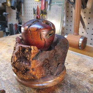 Emerging From The Chrysalis - Woodworking Project by Lew Emerging From The Chrysalis - Woodworking Project by Lew