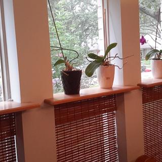 Orchid Shelves. - Woodworking Project by Madts Orchid Shelves. - Woodworking Project by Madts