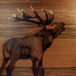 Deer marquetry - Woodworking Project by Andulino Deer marquetry - Woodworking Project by Andulino