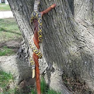 Rattlesnake cane - Woodworking Project by Carvings by Levi Rattlesnake cane - Woodworking Project by Carvings by Levi