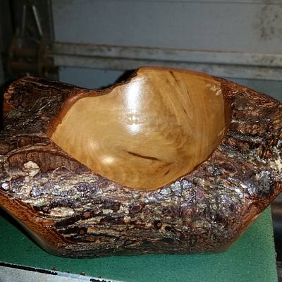 Natural Chinaberry bowl - Project by Monchichi
