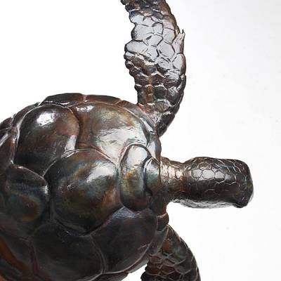 Sea Turtle - Project by WestCoast Arts