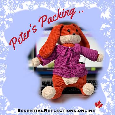 Peter's Packing ... - Project by MsDebbieP