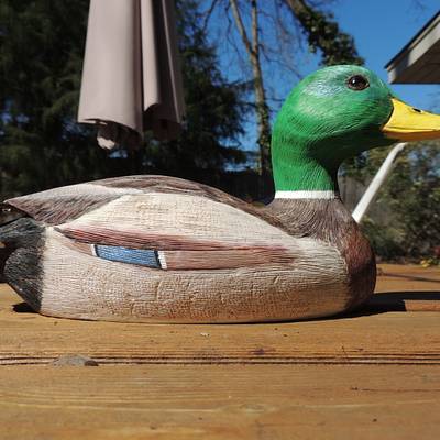Carving and Painting of Mallard Drake Duck - Project by Rolando Pupo