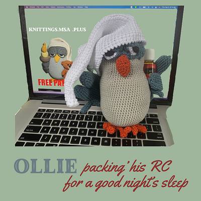 Ollie the Owl - Project by MsDebbieP