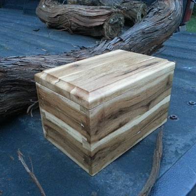 Vine Box - Project by Steve66