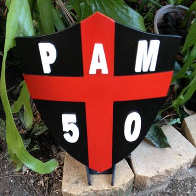Pams 50 Birthday Shield - Project by RobsCastle