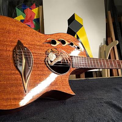 Customized Acoustic Guitar - Project by Xylonmetamorphoun