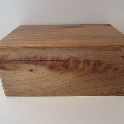 Texas Cedar Elm Box With Phone Charging Accessibility - Project by Blackie