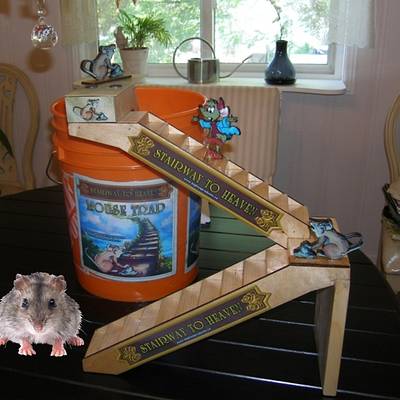 Stairway To Heaven Mouse Trap - Project by David Bethune