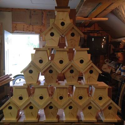 Bird houses - Project by David A Sylvester  