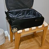 Luggage Stand