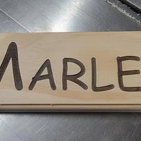 Sign for Granddaughter's Horse - Project by Birdseye49