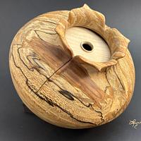 Vessel of Illusion - Project by Lew